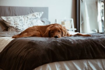 Jak správně pečovat o matrace?